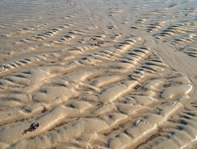 Artisanal Appetizers